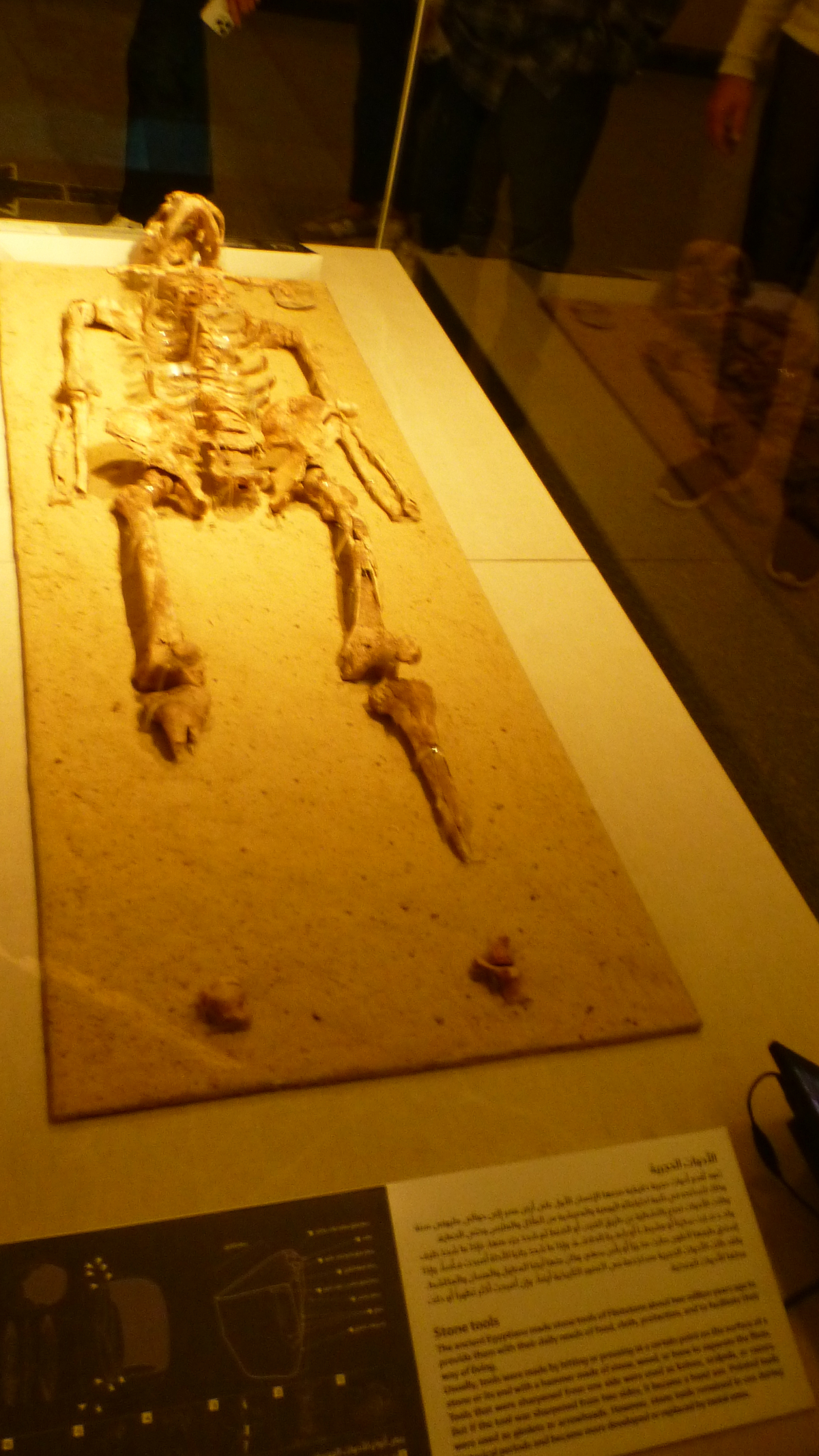 This is the 35,000 year old Nazlet Khater skeleton, a young man found in Sohag.