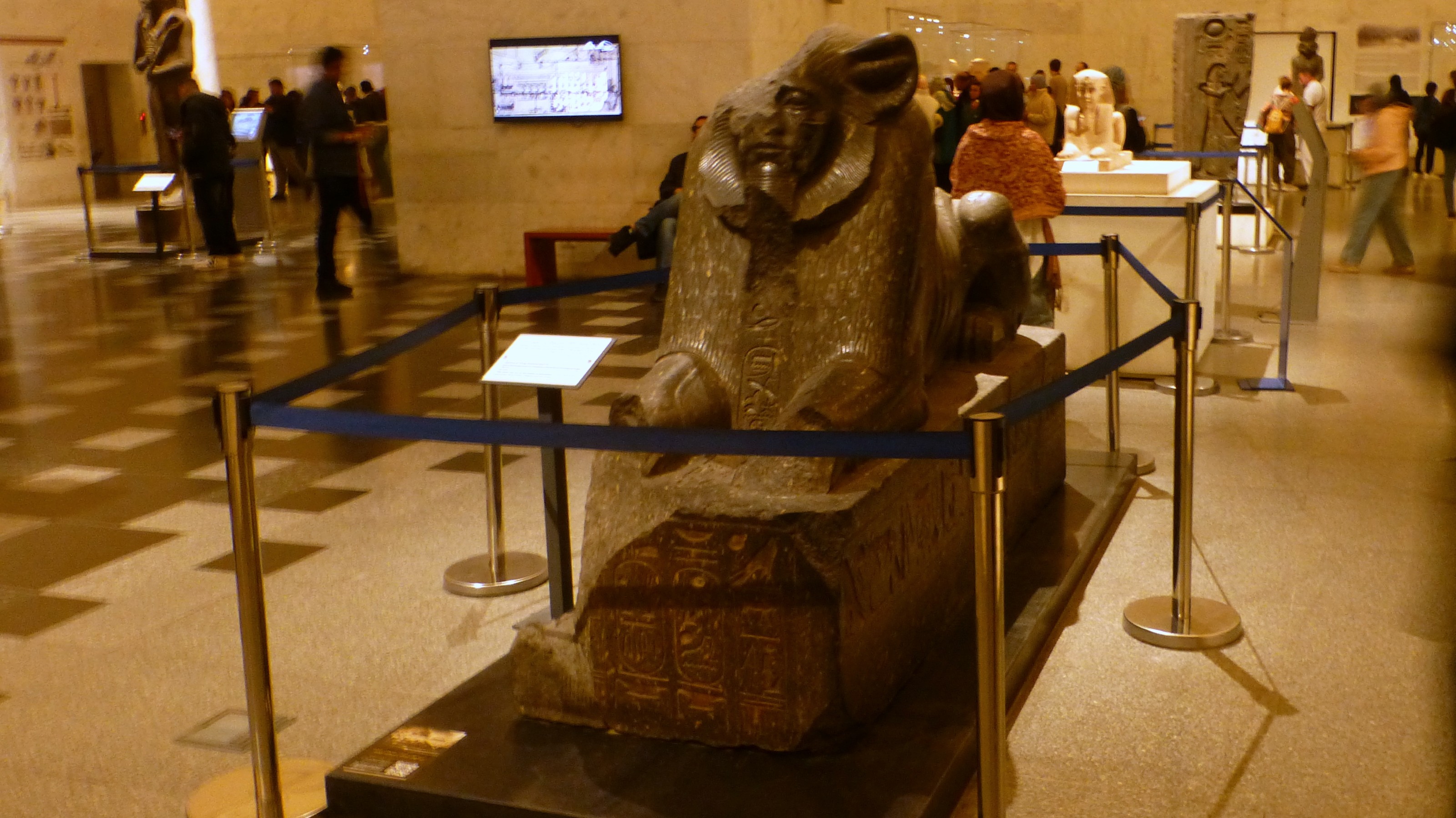 This is a Black granite Sphinx of King Amenemhat III which flanked the processional route in front of his great temple at Hawara around 1800 BC.