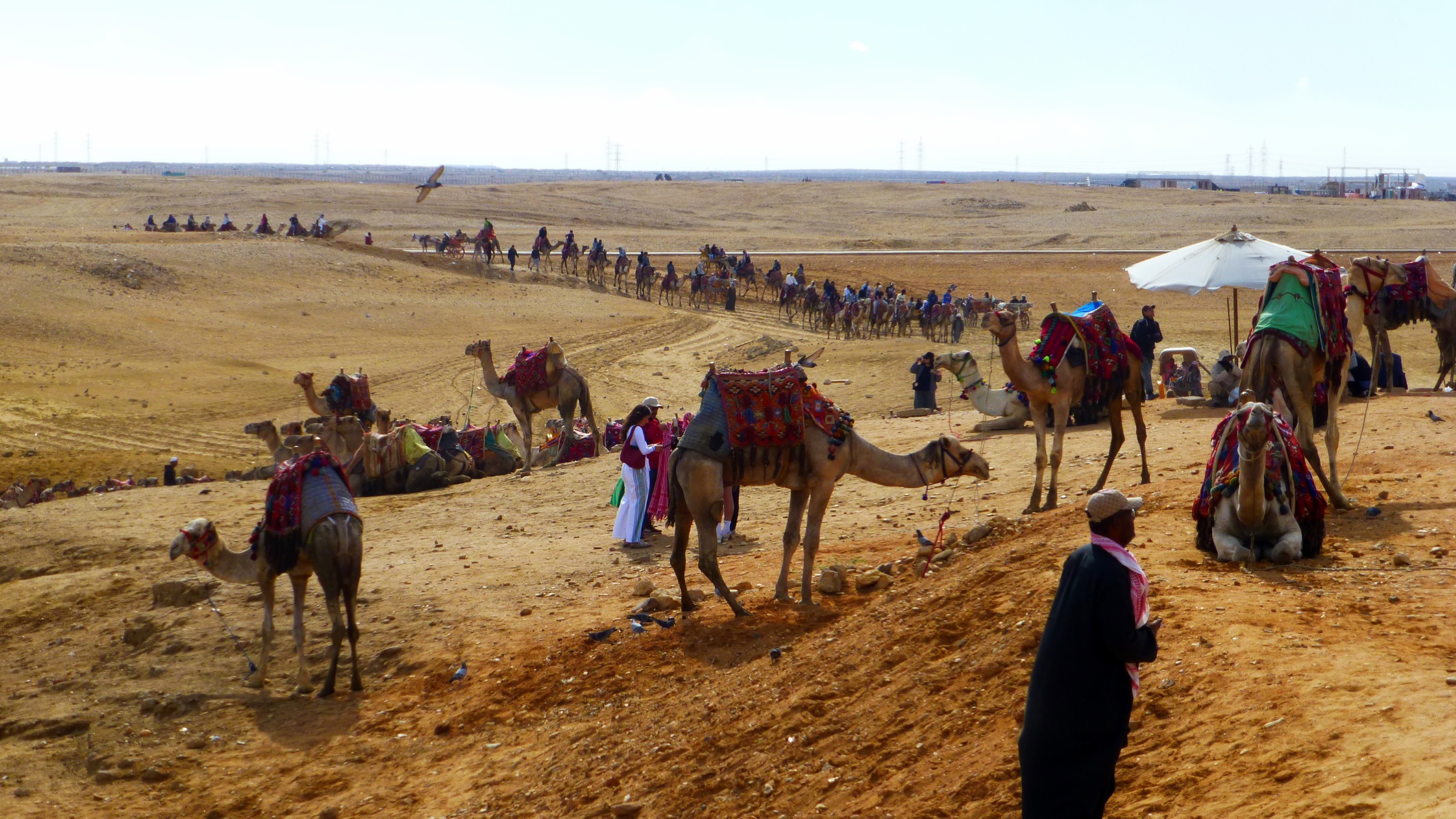 I caught this camel caravan coming from the east. Oops, it's really just a bunch of tourists that paid $20 each for the opportunity to ride a camel.