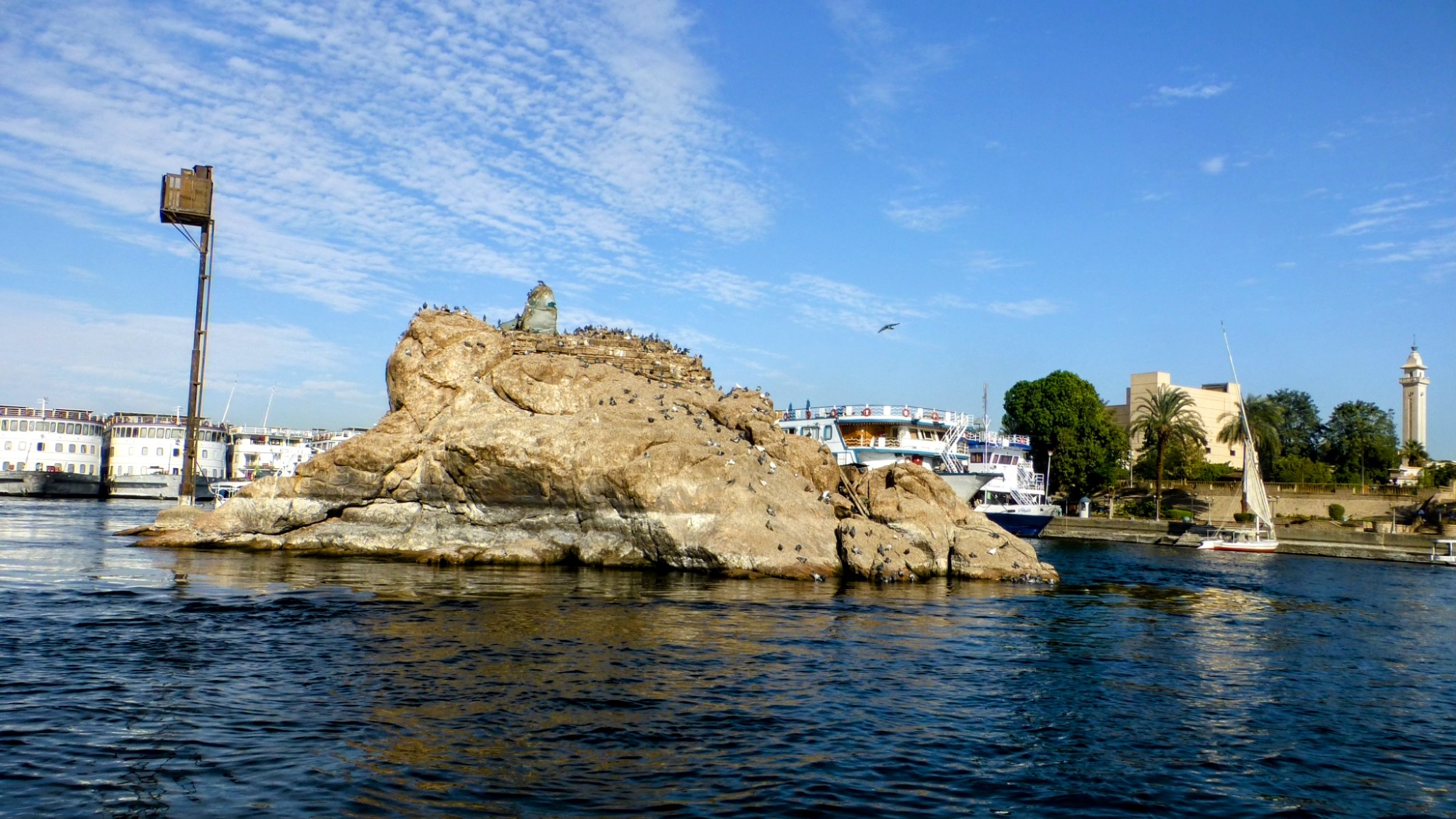 Next we passed this island of birds.