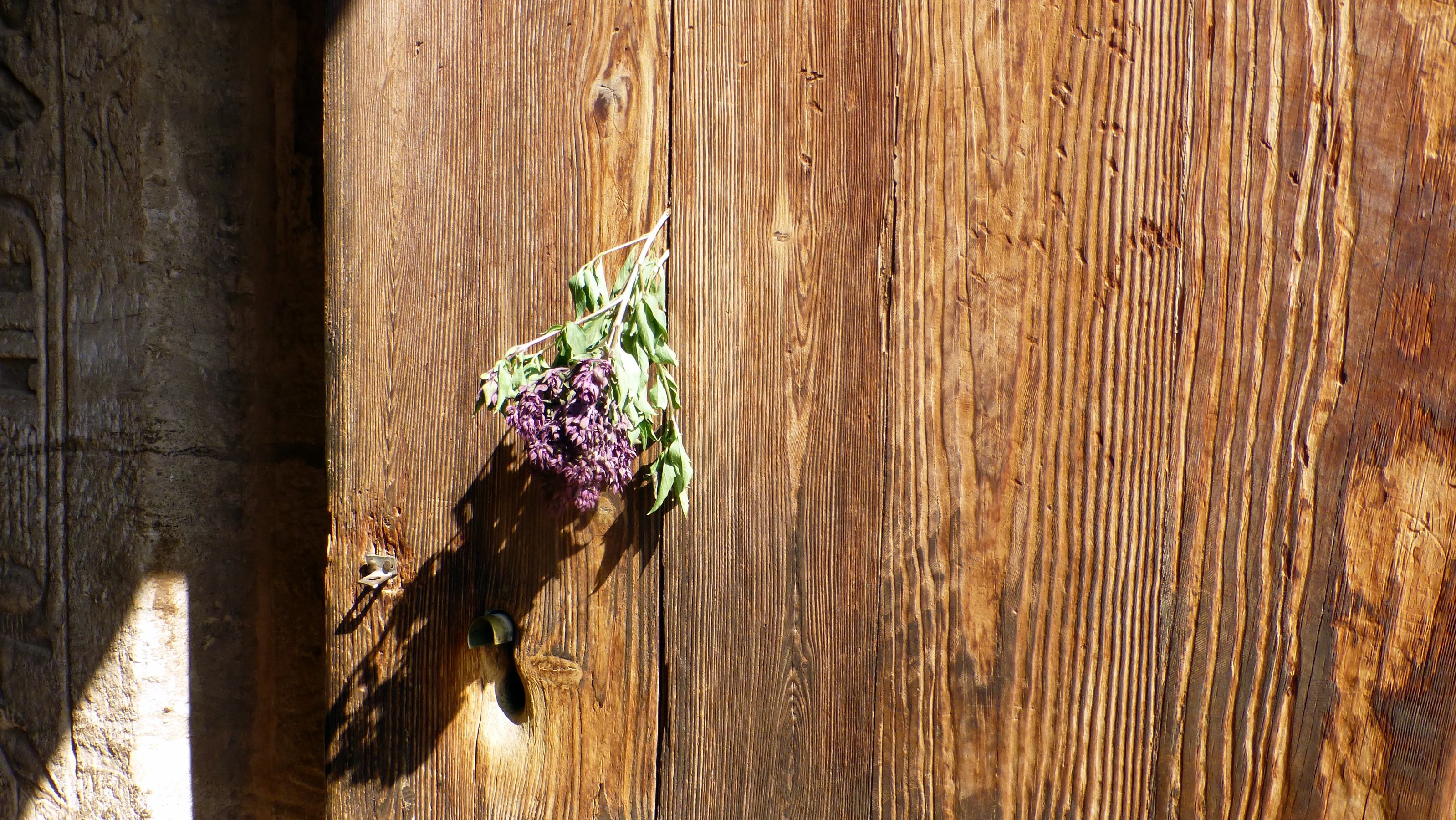 On the door of Nefertari's Temple is a flower (again not original).