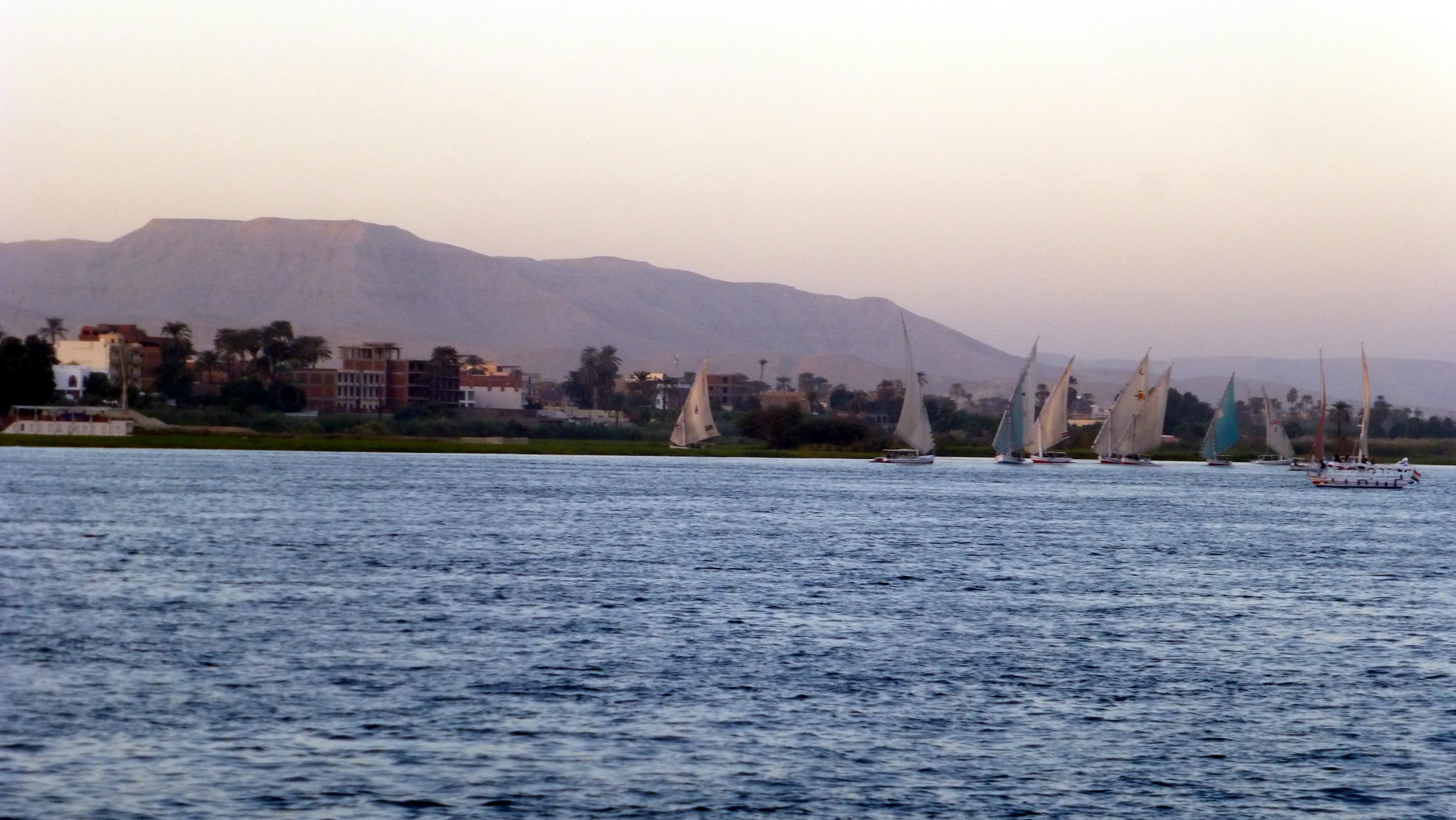 Cruising back up the Nile we encountered this fleet of faluccas.