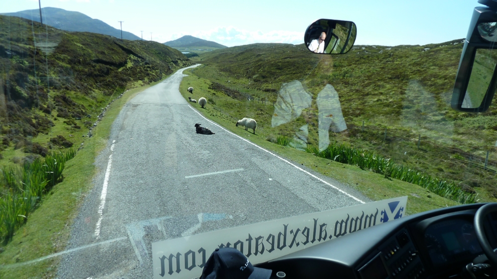 The view from the front of the Luxury Coach as we head south on S. Lewis