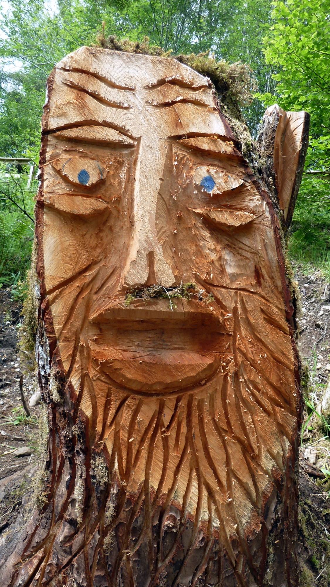 A Tree Gnome at Shin Falls
