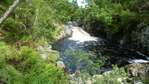 The Falls of Shin. &nbsp;It’s easy to see how a salmon could get a good running start for a jump!
