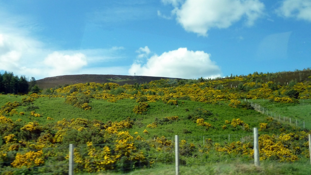 A hillside of Broome with another of Heather in the background