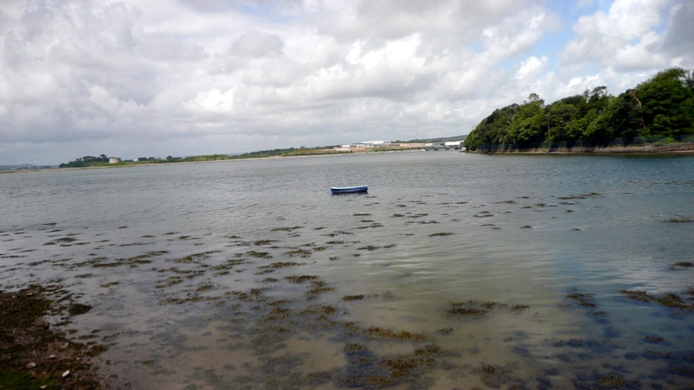 Looking west towards Cork Harbour