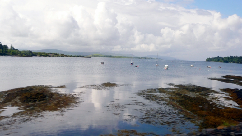 Along Bantry Bay