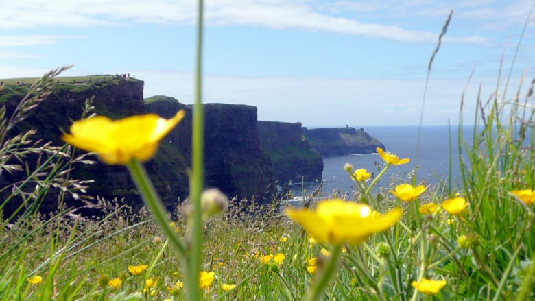 The Cliffs of Moher