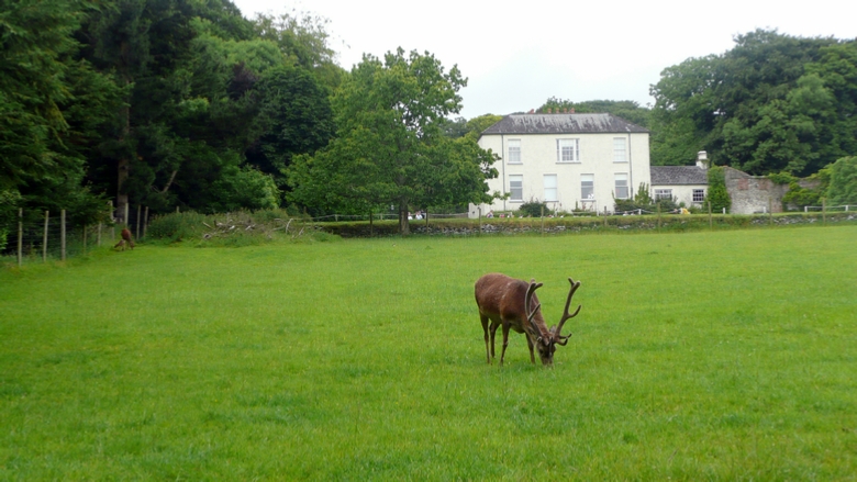 Bunratty House