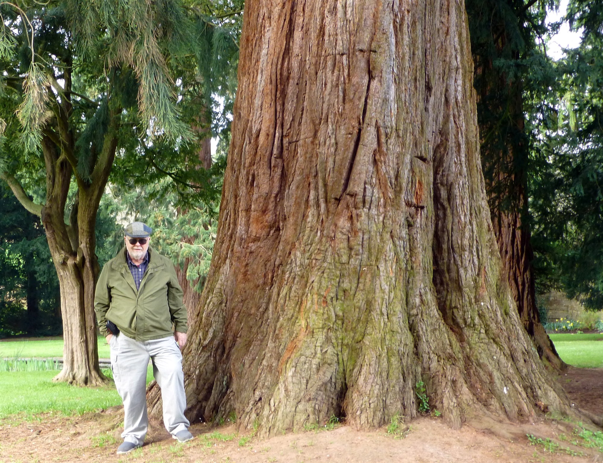 Standing next to one of the ancient yew trees,  you get a sense of it's size and age.