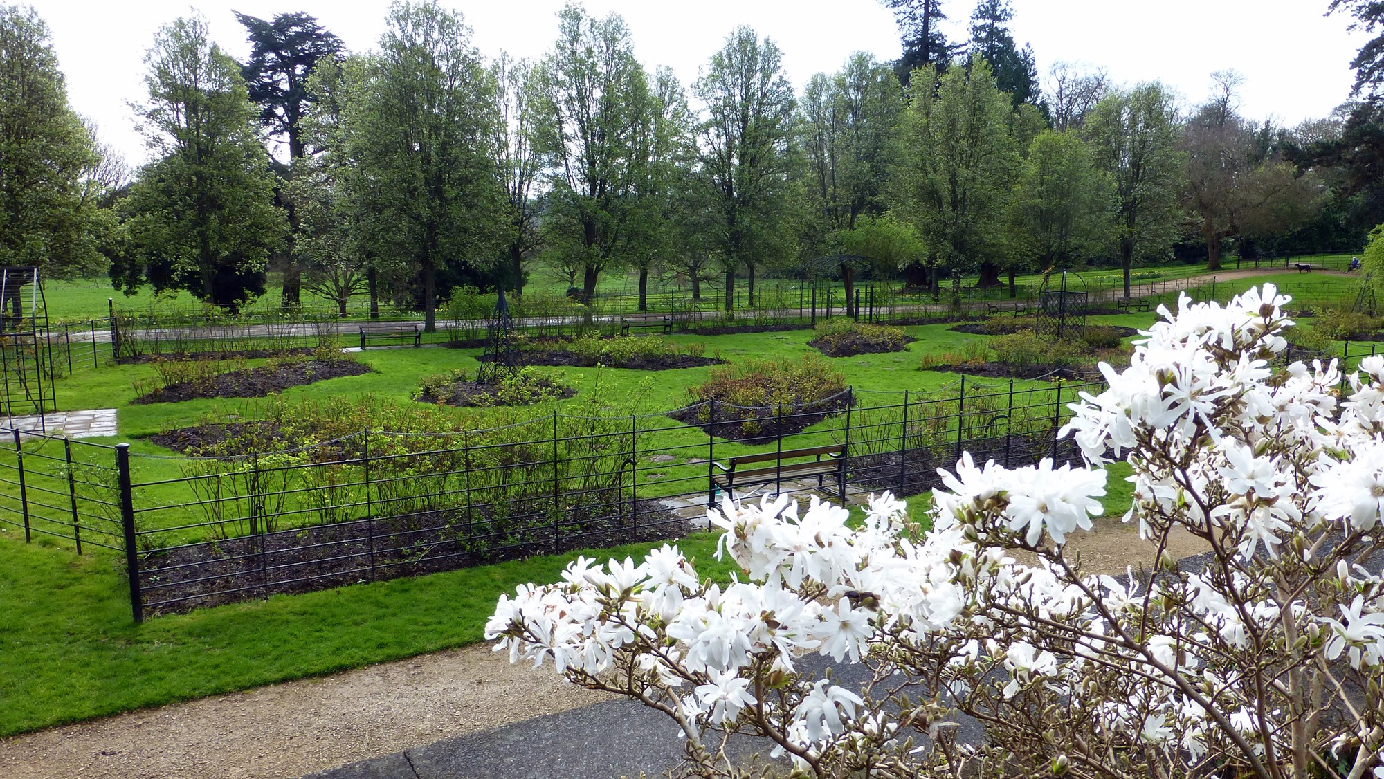 One of the many gardens on the Estate that would have been maintained by my great great  grandfather and great uncle. It is easy to believe that the present garden is but a remnant  of the garden that must have existed in their day.