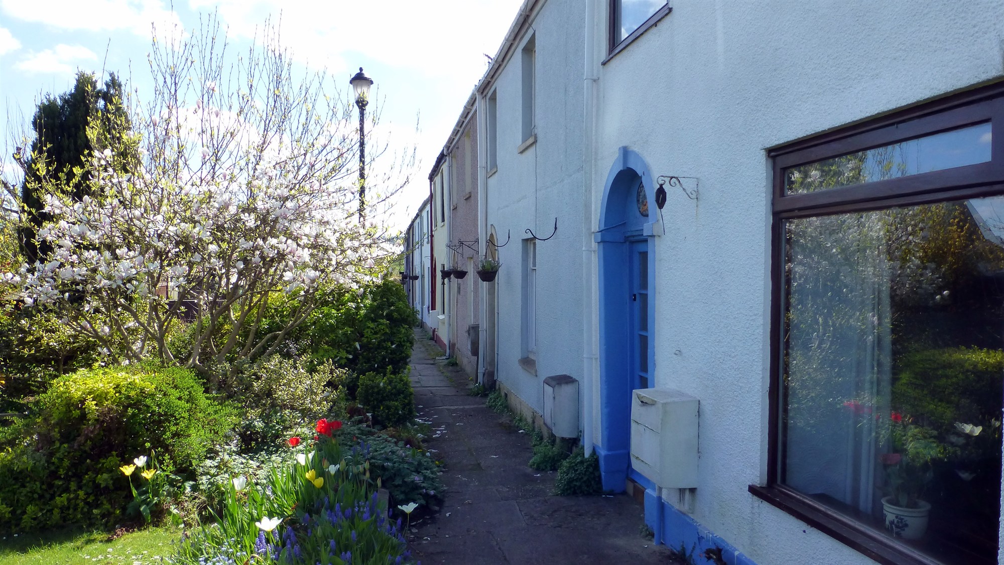 The Arch Grove Cottages. It’s quite possible that they live in this cottage with the blue door.