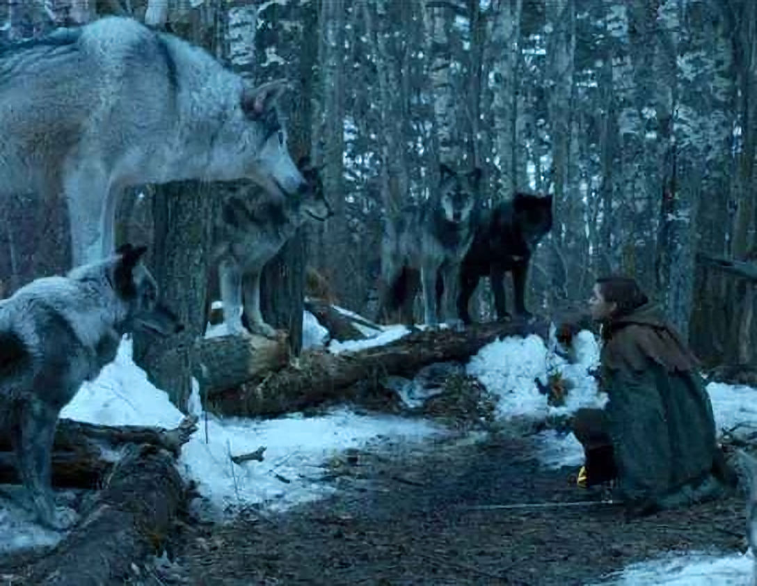 Arya confronts Nymeria