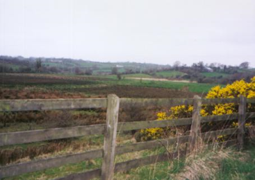 >County Cavan, Ireland