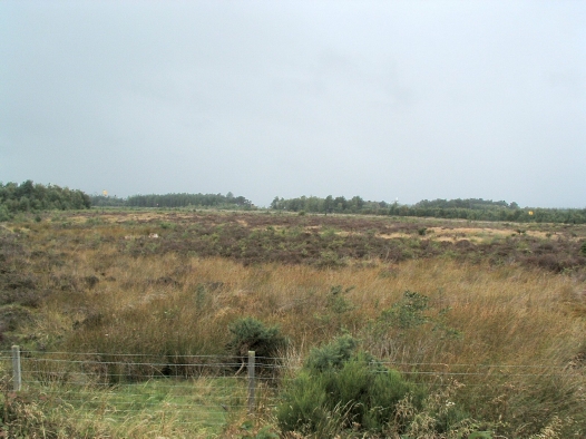 Bleak Rannoch Moor