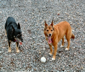 Shirley and Whitney