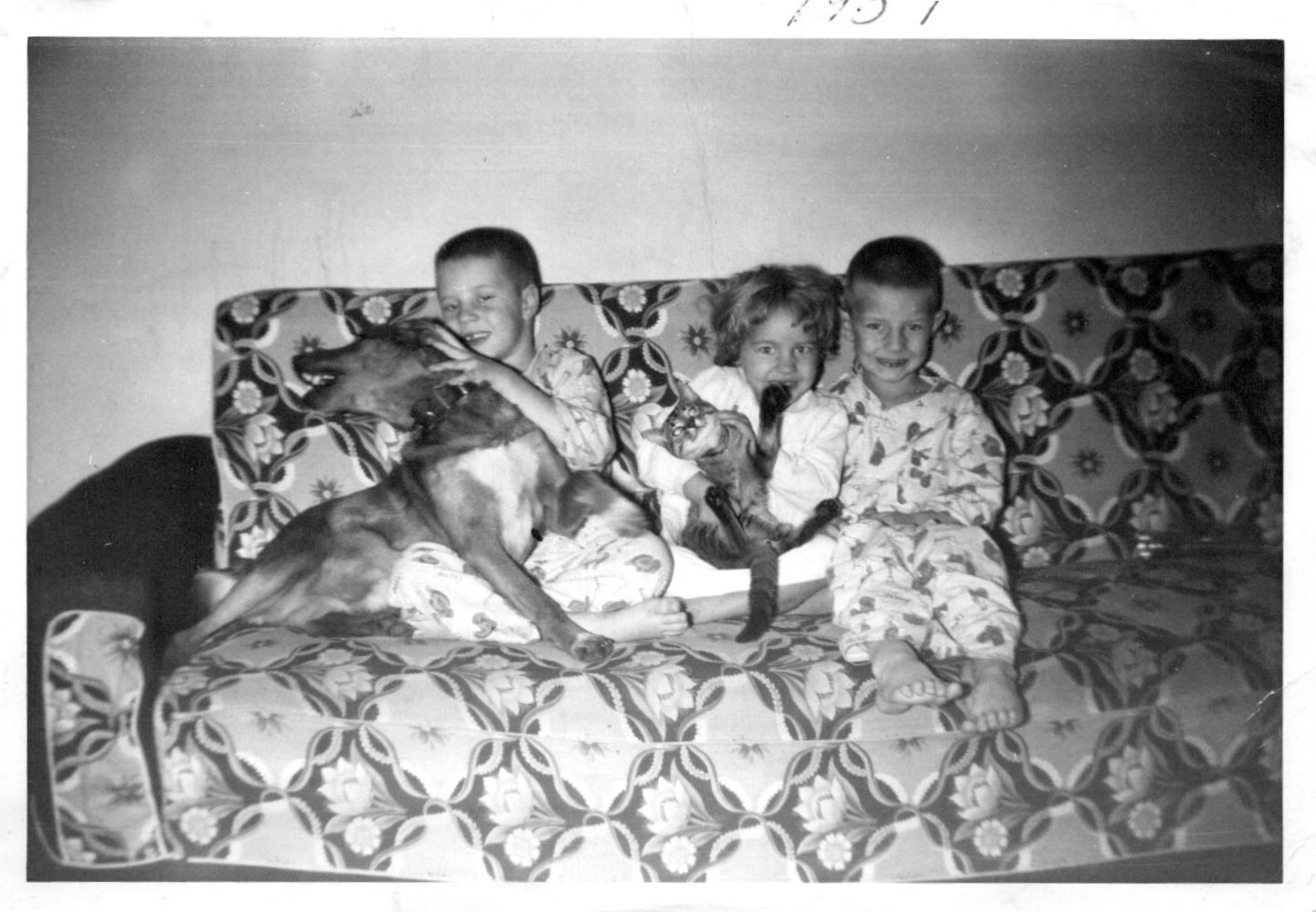 Frank, Cissy & Me with Dusty Dan and Fluffy