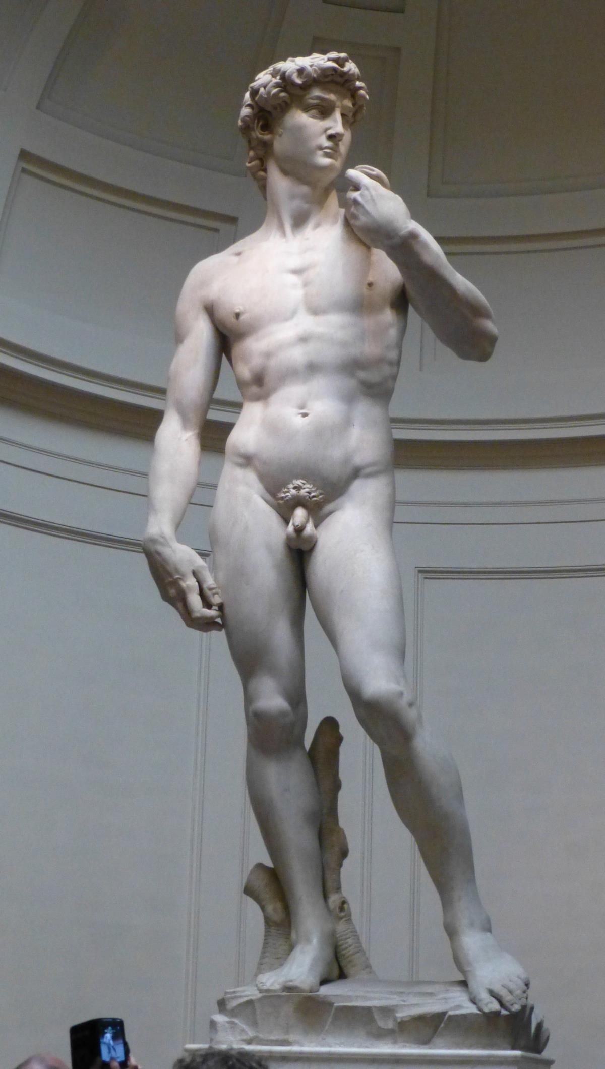Michelangelo's David (and David's Willie)