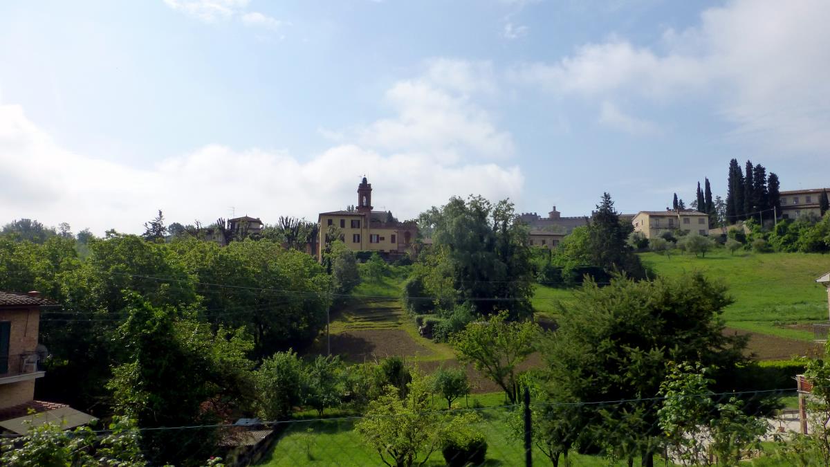 Along the road to Montalcino