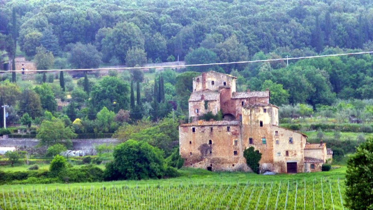 Along the road to Assisi