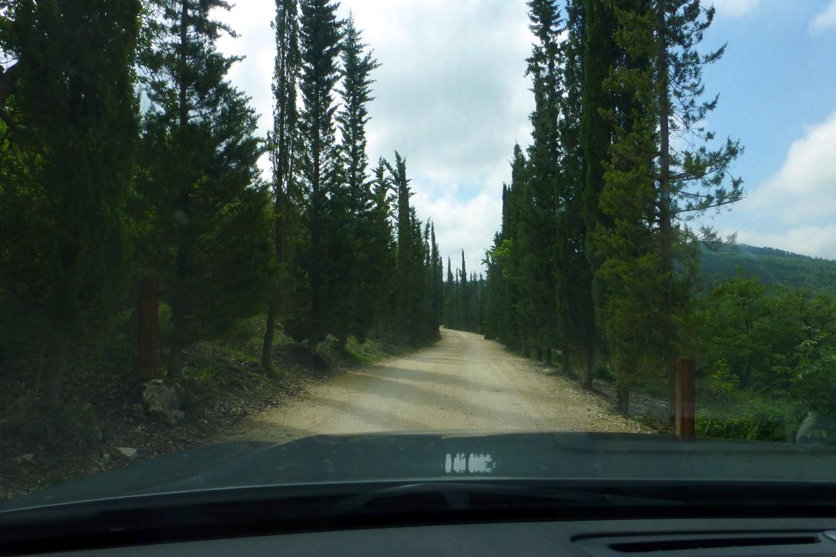 The road to the Brancaia Winery