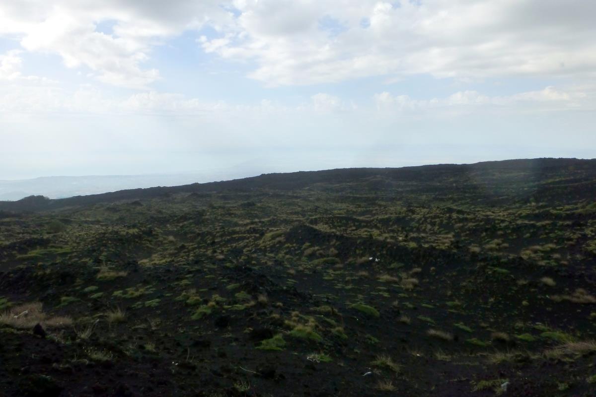 As we ascended Mt Etna, the landscape became fields of lava with patches of grass
